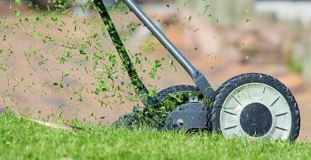 Lawncare