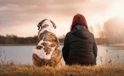 Pet-Sitter