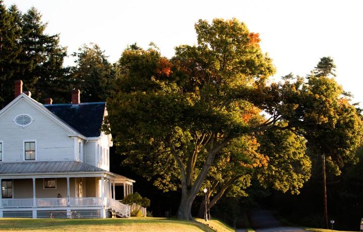 house exterior with mature trees